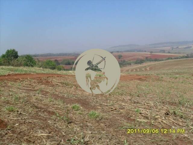Fazenda para Venda em Ribeirão Preto - 4