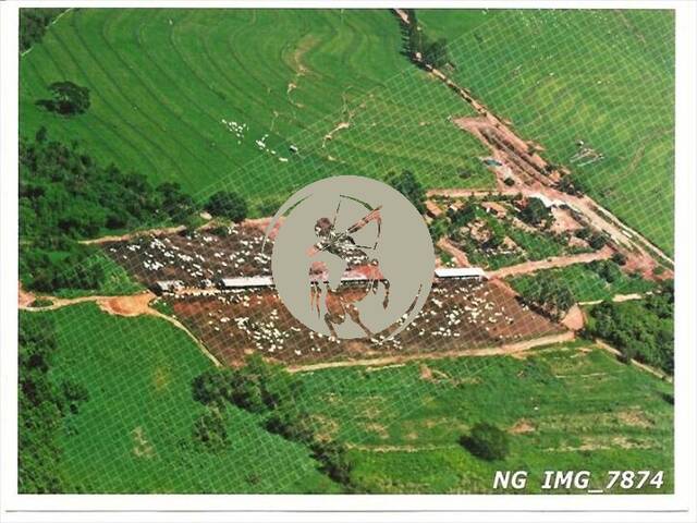 Fazenda para Venda em Avaí - 4
