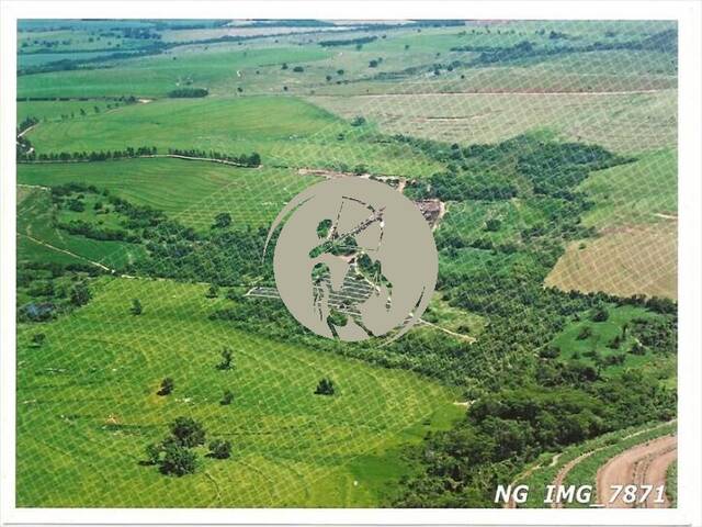 Fazenda para Venda em Avaí - 5