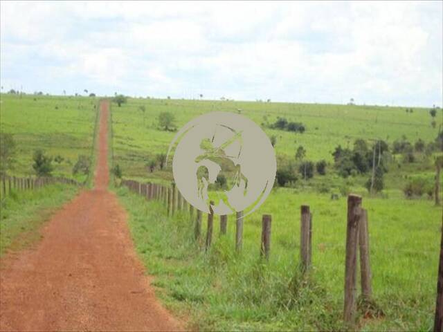 Fazenda para Venda em Avaí - 4