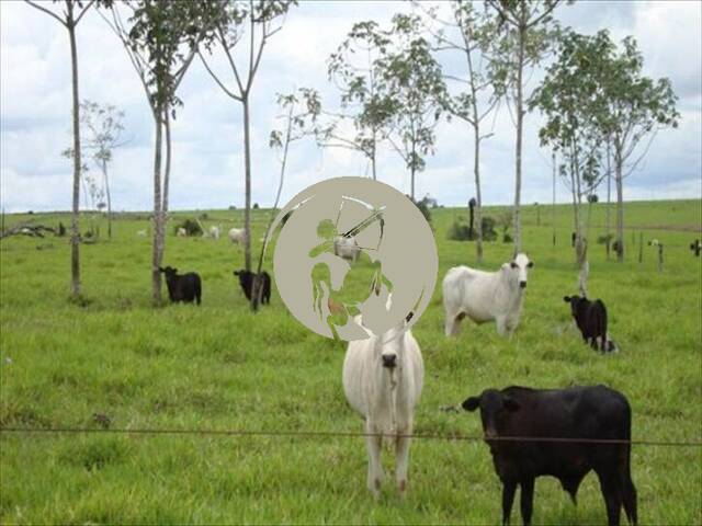 Fazenda para Venda em Avaí - 5