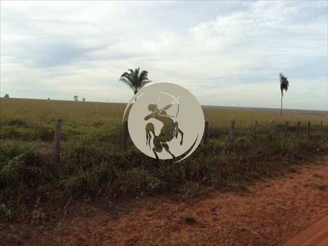 Fazenda para Venda em Avaí - 4