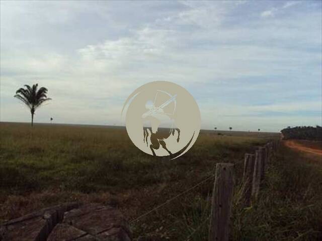 Fazenda para Venda em Avaí - 5