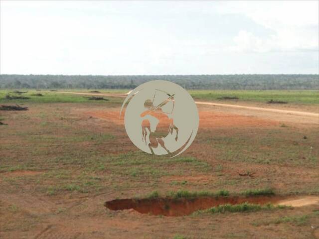 Fazenda para Locação em Gaúcha do Norte - 4