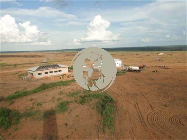 Fazenda para Locação em Gaúcha do Norte - 5