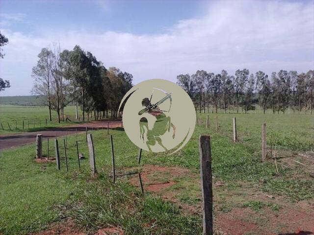 #1398 - Fazenda para Venda em Avaí - SP