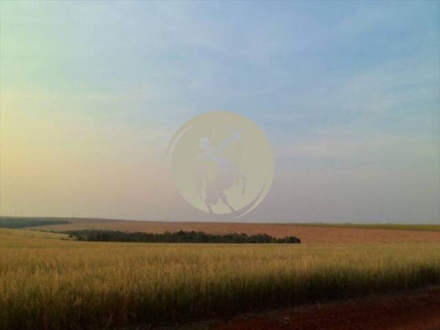 Fazenda para Venda em Avaí - 5