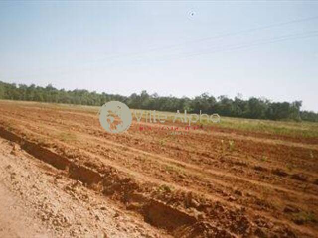 #186 - Terreno para Venda em Gaúcha do Norte - MT