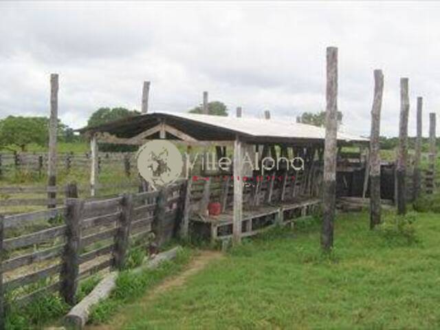 Terreno para Venda em Avaí - 5