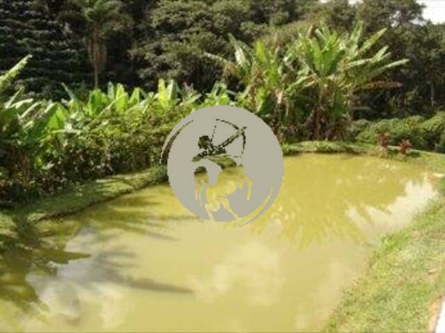 Terreno para Venda em Serra Negra - 5