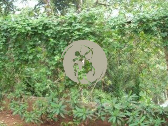 Terreno para Venda em Mairiporã - 5
