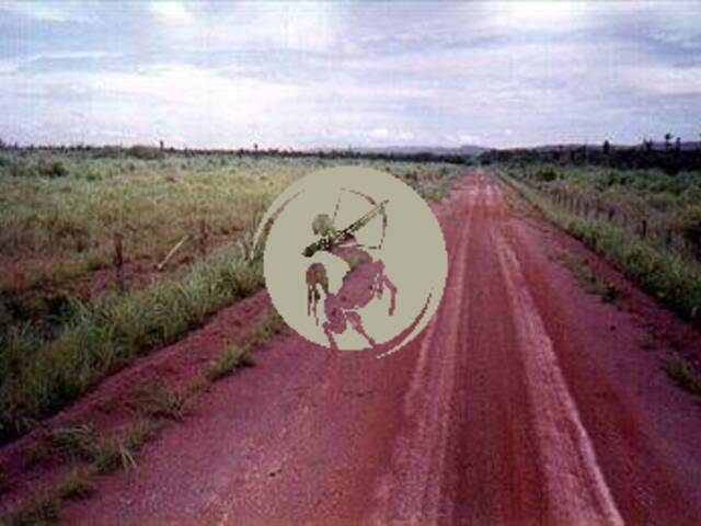 Fazenda para Venda em Avaí - 4