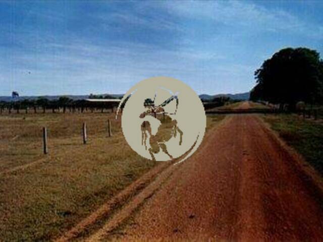 Fazenda para Venda em Avaí - 5