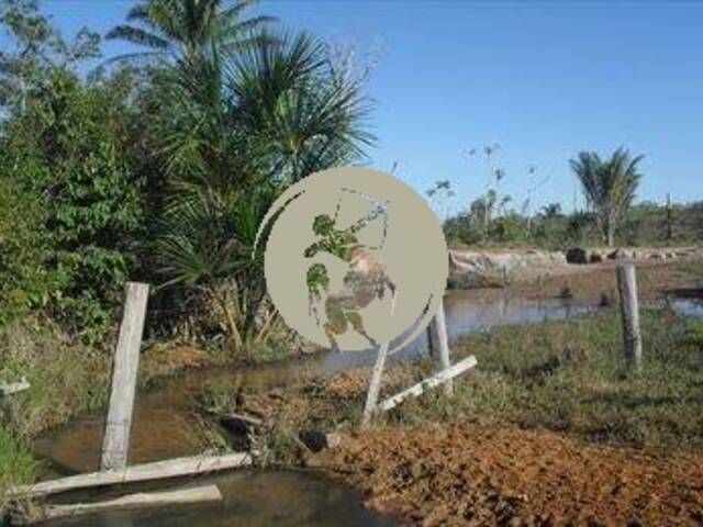 #2813 - Fazenda para Venda em Marcelândia - MT