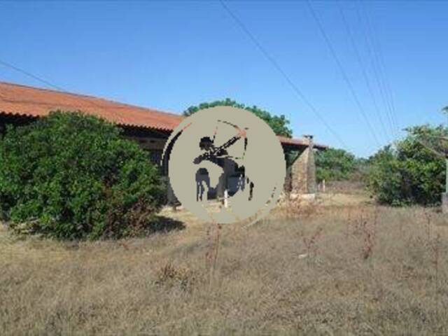 Fazenda para Venda em Marcelândia - 4