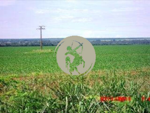 Fazenda para Venda em Avaí - 4