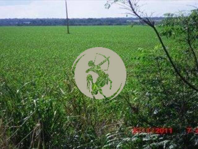Fazenda para Venda em Avaí - 5