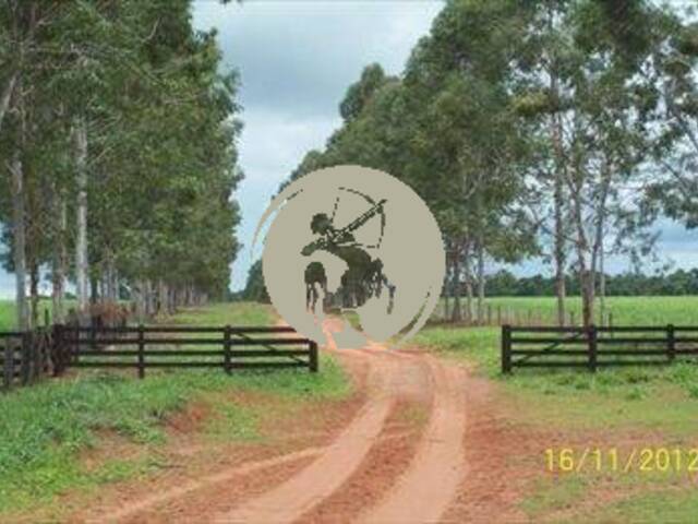 Fazenda para Venda em Avaí - 4