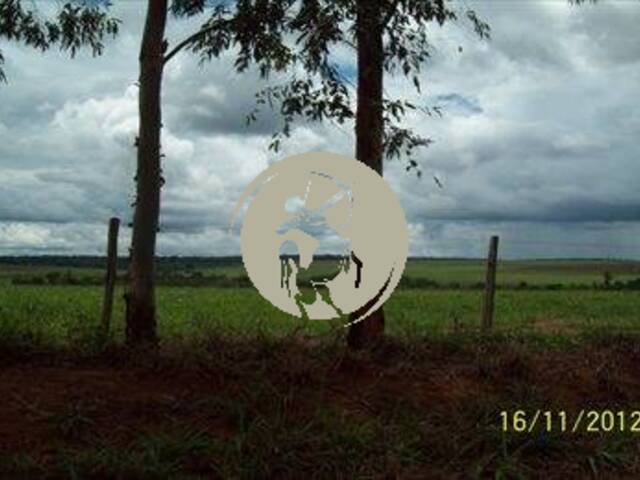 Fazenda para Venda em Avaí - 5