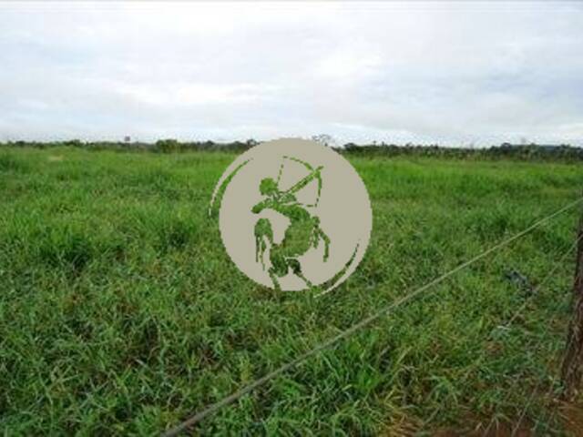 Fazenda para Venda em Avaí - 4