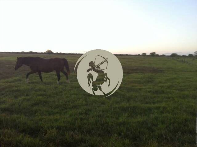 Fazenda para Venda em Dueré - 5