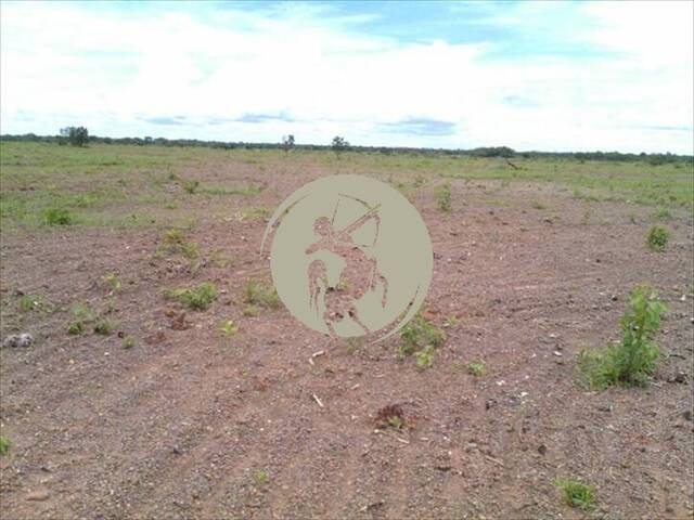 Fazenda para Venda em Avaí - 4