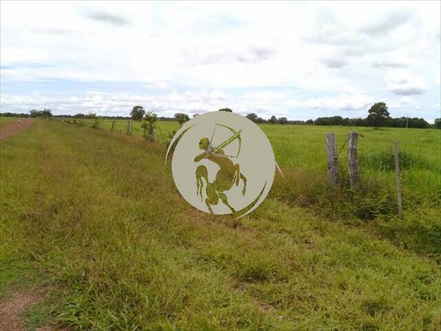 Fazenda para Venda em Avaí - 5