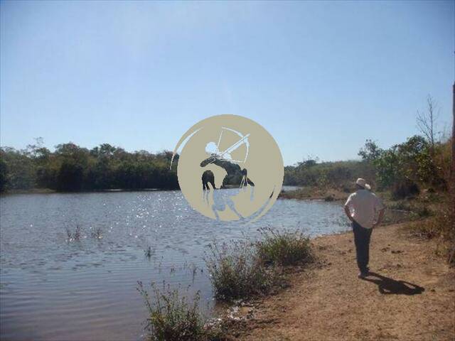 Fazenda para Venda em Barrolândia - 5