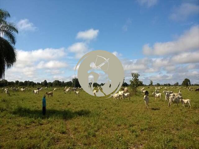 #3222 - Fazenda para Venda em São Félix do Araguaia - MT