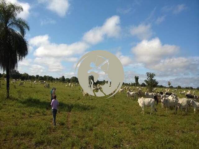 #3222 - Fazenda para Venda em São Félix do Araguaia - MT