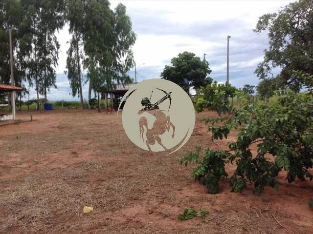 #3224 - Fazenda para Venda em Avaí - SP