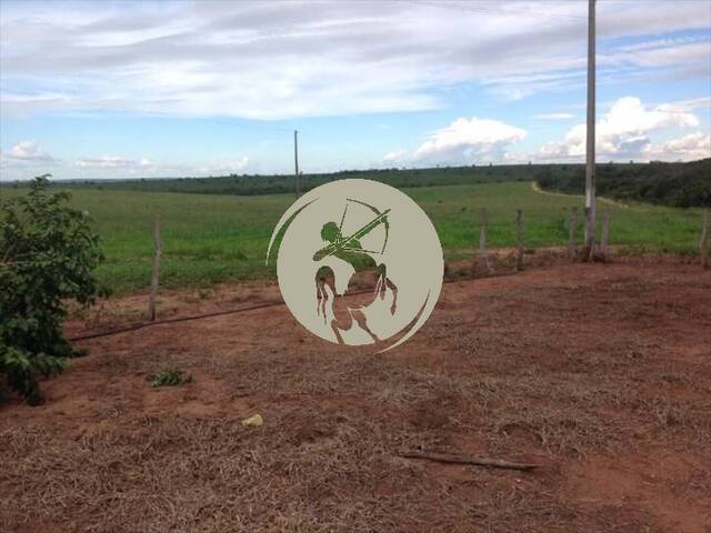 Fazenda para Venda em Avaí - 5