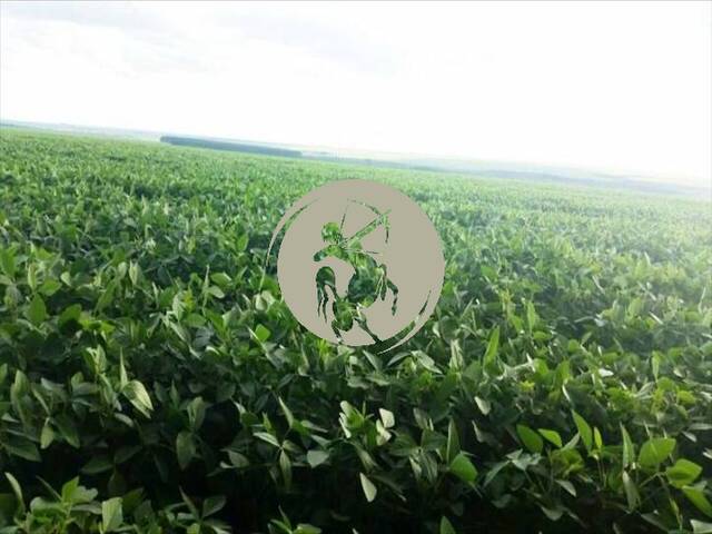 Fazenda para Locação em Ribeirão Cascalheira - 5