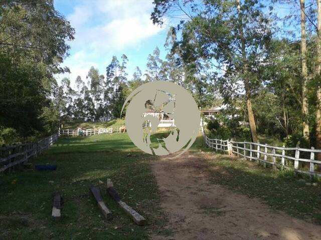 Fazenda para Venda em Barra do Chapéu - 4