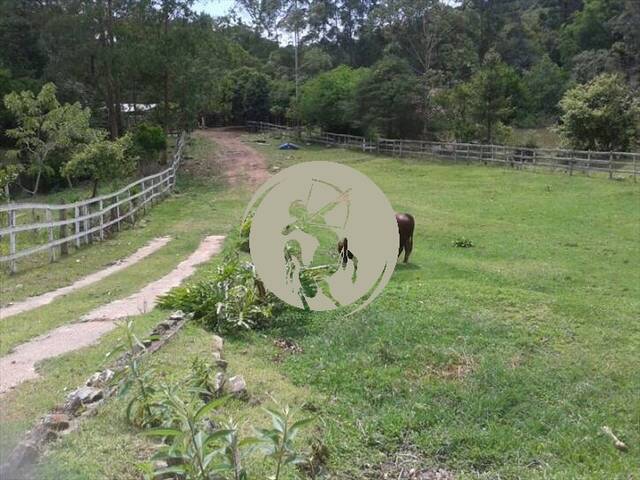 Fazenda para Venda em Barra do Chapéu - 5
