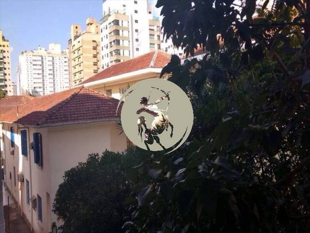 Apartamento para Venda em Santos - 3