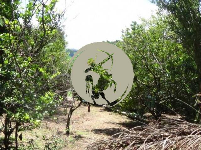 Terreno para Venda em Atibaia - 5