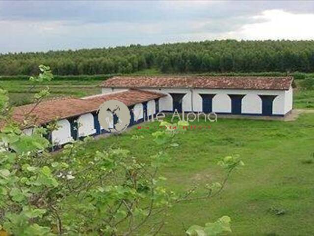 Haras para Venda em Bauru - 5
