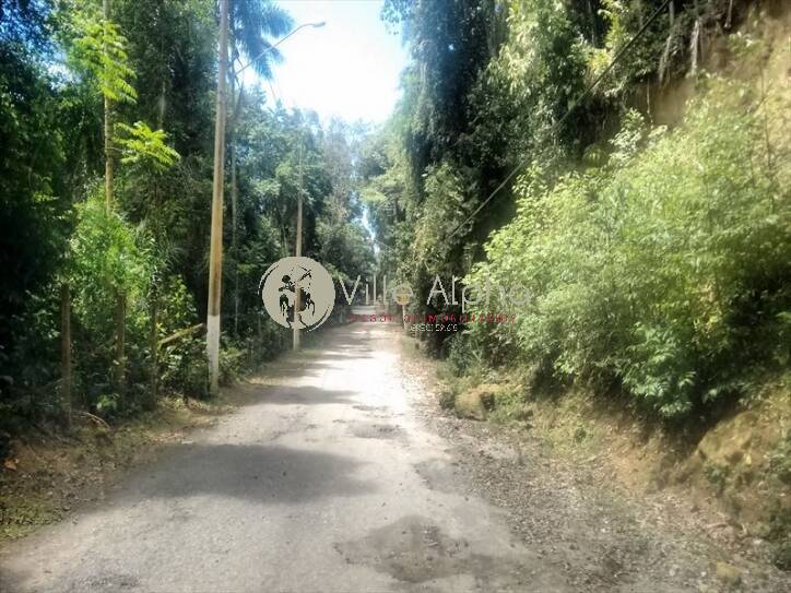 Apartamento, 3 quartos, 250 m² - Foto 48