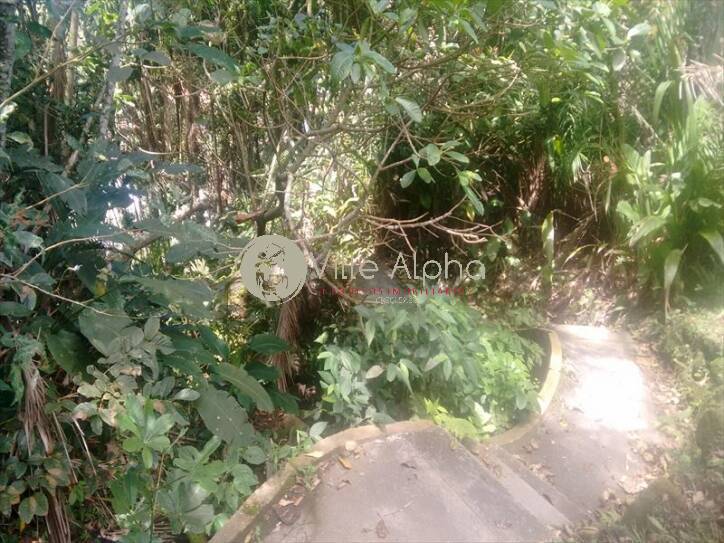 Apartamento, 3 quartos, 250 m² - Foto 52