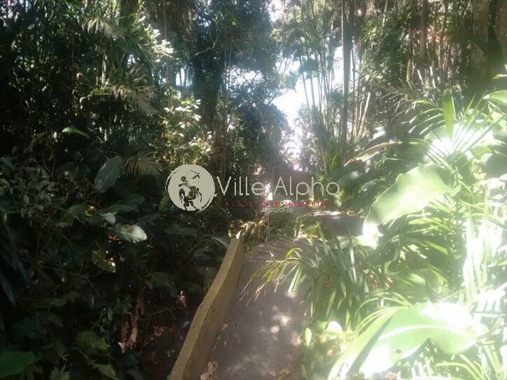 Apartamento, 3 quartos, 250 m² - Foto 53