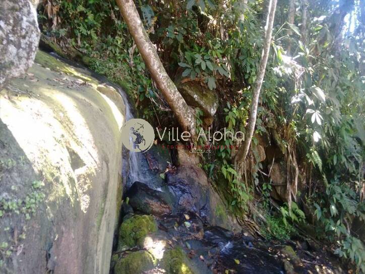 Apartamento, 3 quartos, 250 m² - Foto 56