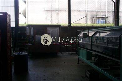 Prédio Inteiro, 9000 m² - Foto 2