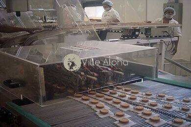 Prédio Inteiro, 10000 m² - Foto 2