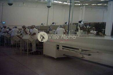 Prédio Inteiro, 10000 m² - Foto 8