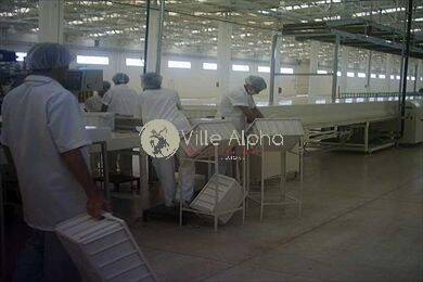 Prédio Inteiro, 10000 m² - Foto 9