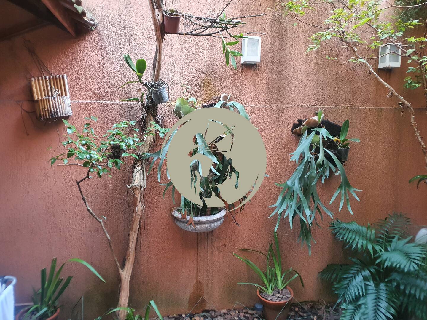 Casa, 3 quartos, 170 m² - Foto 47