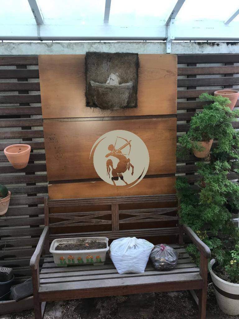 Casa, 4 quartos, 350 m² - Foto 29