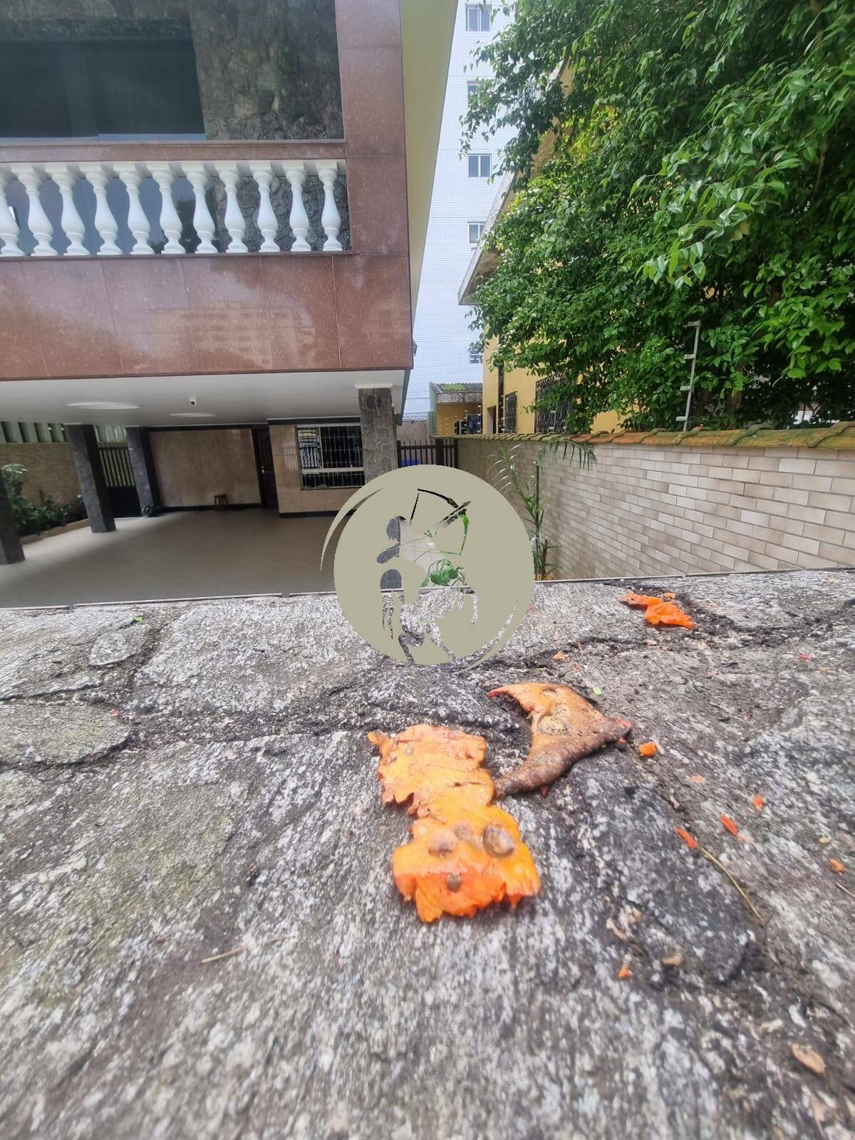 Casa, 4 quartos, 250 m² - Foto 5