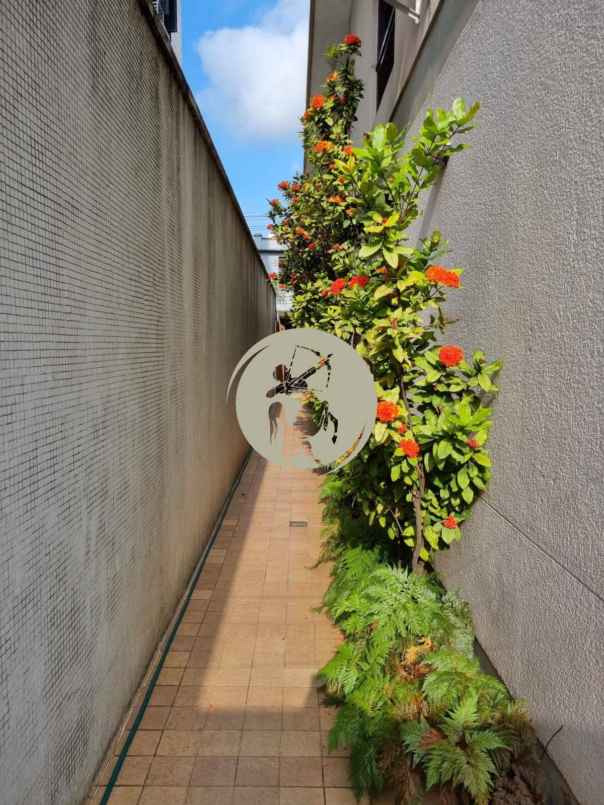 Casa, 4 quartos, 256 m² - Foto 26